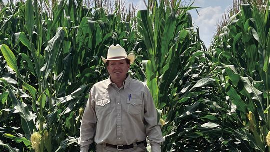 El Toro Farms is a growing business