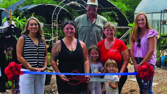 Grand opening