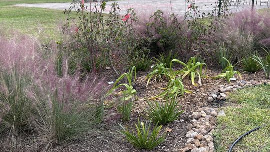 Nature-based toolkit helps Texas communities plan for stormwater management