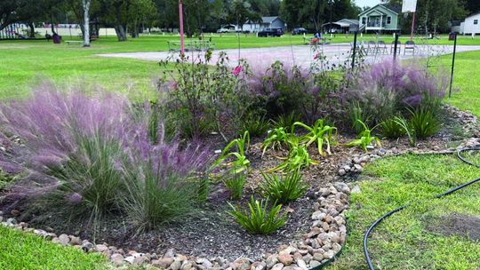 Nature-based toolkit helps Texas communities plan for stormwater management