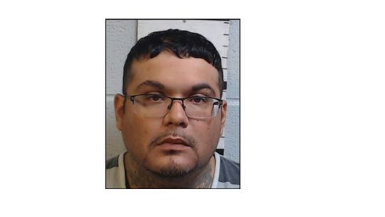 Palacios takes plea for 50 years