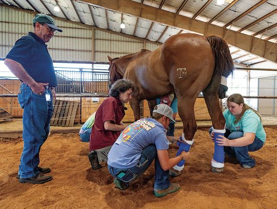 AgriLife Extension program guides students with hands-on training and coursework