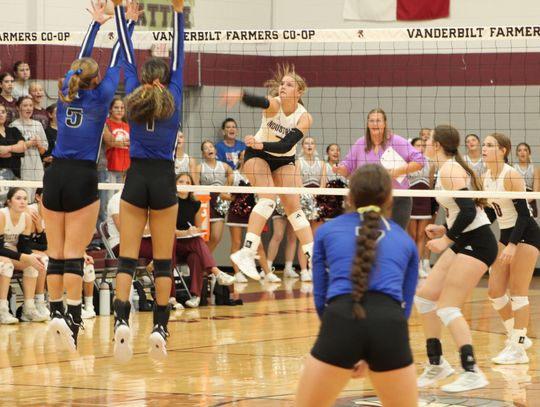 Cobras claim 3-1 win over Edna in 25-3A volleyball Friday