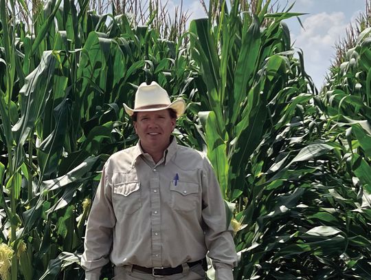 El Toro Farms is a growing business