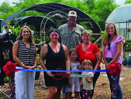 Grand opening