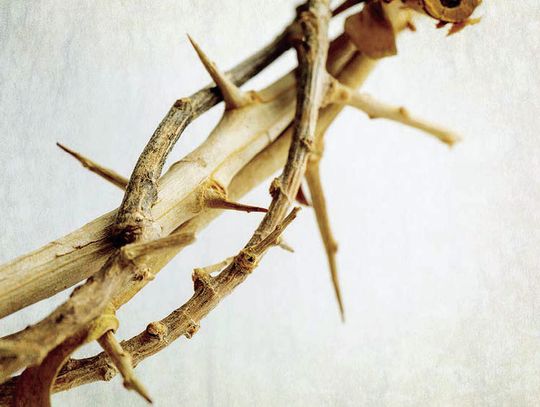 Jesus Led Away Mocked