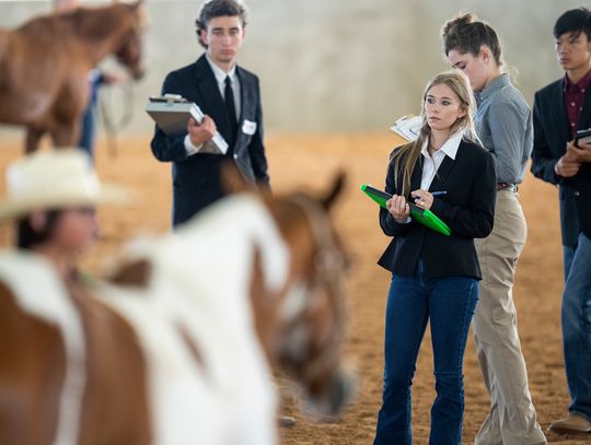 Texas A&M AgriLife Extension Service launches capital campaign for Texas 4-H