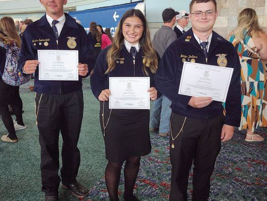Three Lone Stars ; top 30 in sales