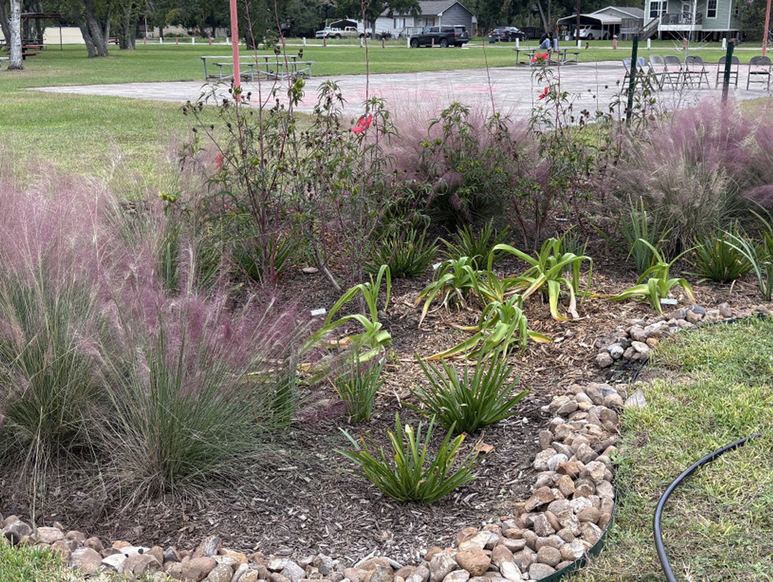 Nature-based toolkit helps Texas communities plan for stormwater management