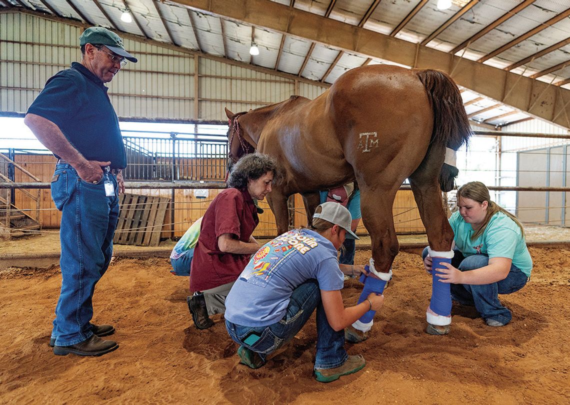 AgriLife Extension program guides students with hands-on training and coursework