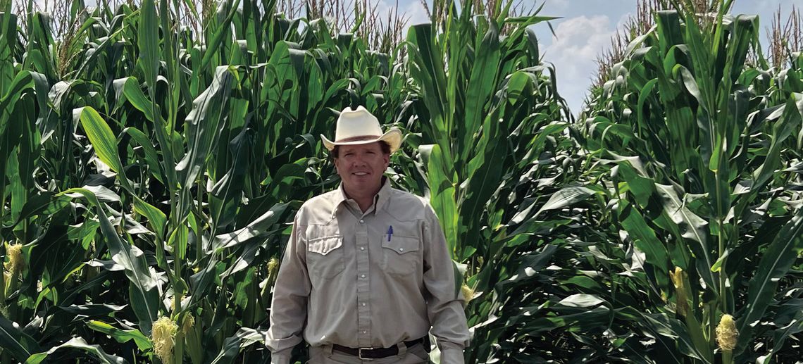 El Toro Farms is a growing business