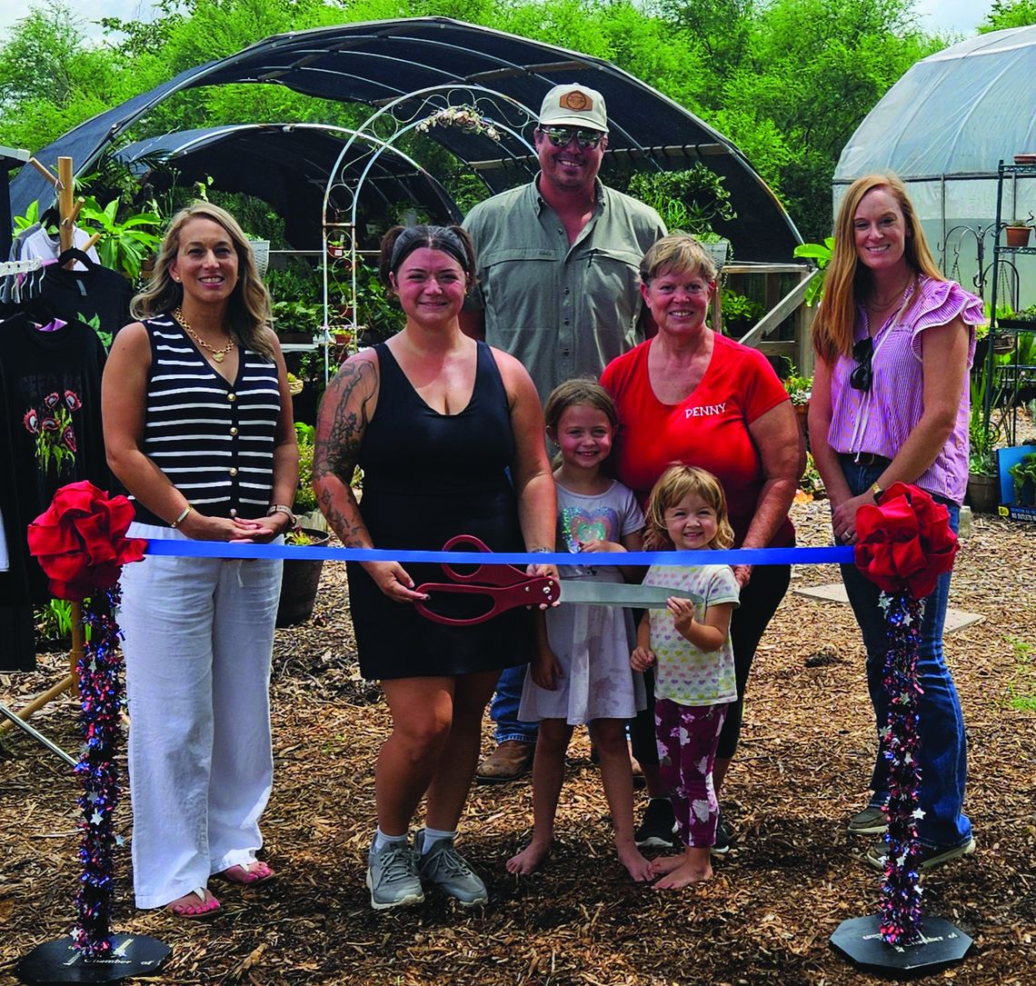 Grand opening