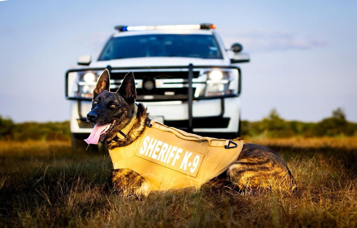 K9 Hunter retires K9 Hunter retires