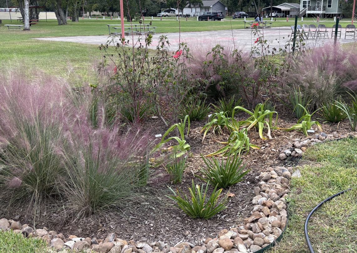 Nature-based toolkit helps Texas communities plan for stormwater management Nature-based toolkit helps Texas communities plan for stormwater management