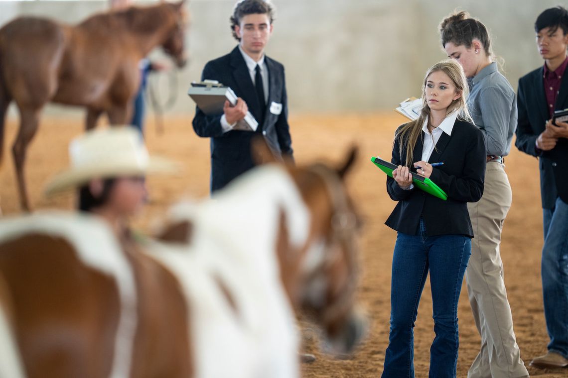 Texas A&M AgriLife Extension Service launches capital campaign for Texas 4-H