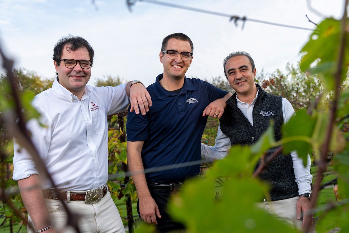 Texas A&M trio leads new frontier in horticultural science